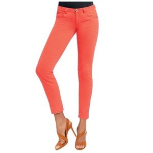 CAbi Pigment Jeggings